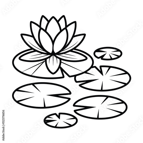 Black and White Lotus Flower and Leaves