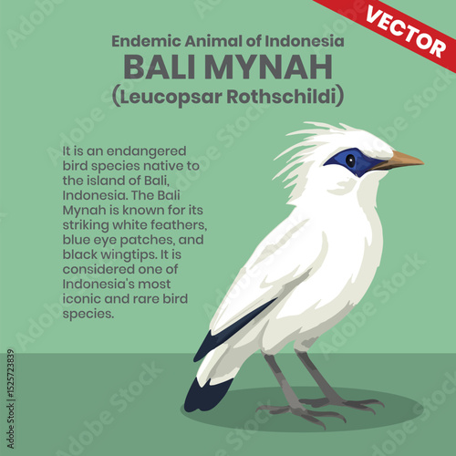 Bali Mynah Endemic Animals of Indonesia Wildlife Infographic