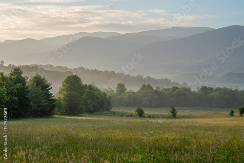 morning in the smoky mountains