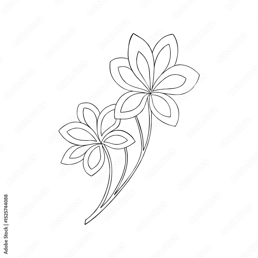 Obraz premium flower outline 
