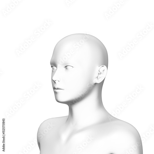 3d rendered model of a human head, transparent png available