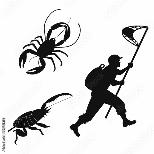 Silhouettes of insects and entomologist with net
