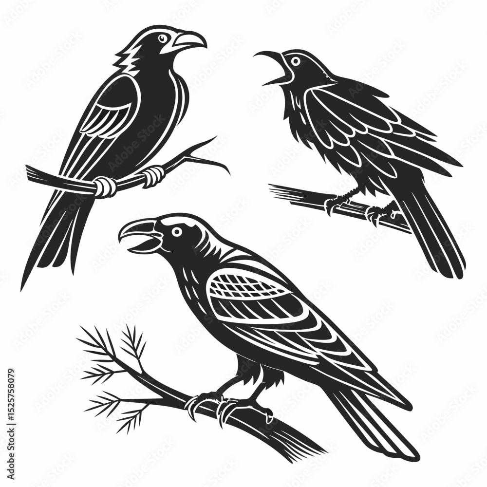 Three black crows perched on branches illustration Three black crows perched on branches illustration