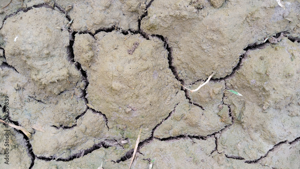 Obraz premium dry cracked earth, cracked ground texture