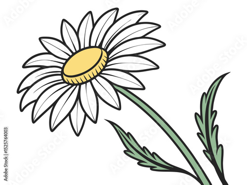 Detailed vector illustration of a cheerful daisy flower with bright white petals and a yellow center.
