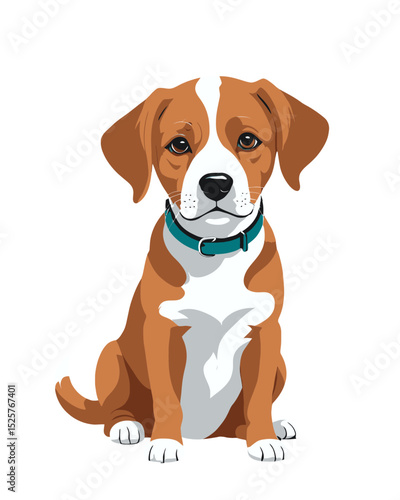Cute domestic beagle puppy isolated on white background, a pedigreed canine studio portrait