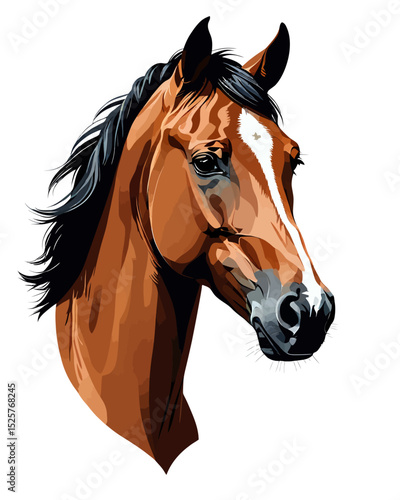 A beautiful brown stallion head portrait, this equine mammal with a flowing mane is isolated on a white background