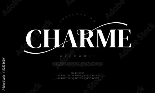 Stylish and luxurious serif font with long decorative strokes, perfect for branding and high-end projects