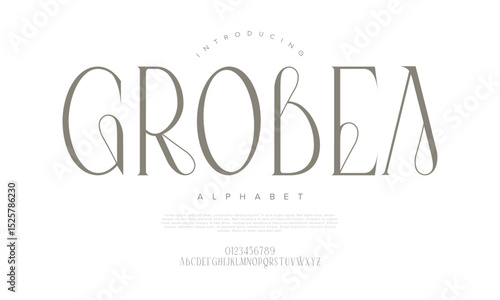 Elegant serif font with luxurious tall shapes and refined line work, great for upscale editorial and branding