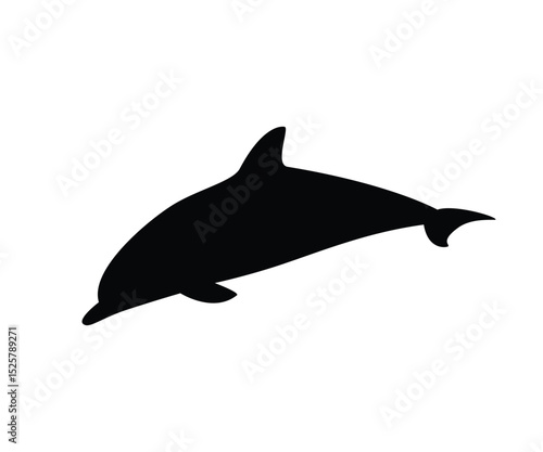 Dolphin silhouette black background with white isolated