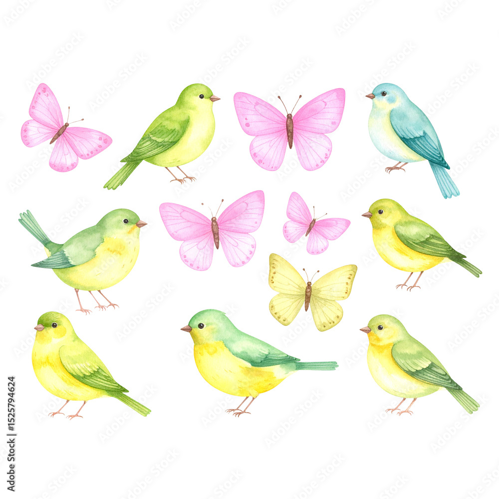 Cute birds and colorful spring flowers isolated on white background.
Cute birds and colorful spring flowers isolated on white background.