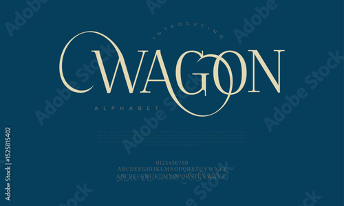 Sophisticated serif display font with looping ligatures and modern flair