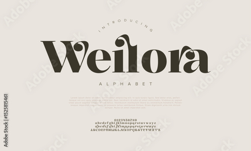 Bold and artistic serif font perfect for luxury branding and standout titles