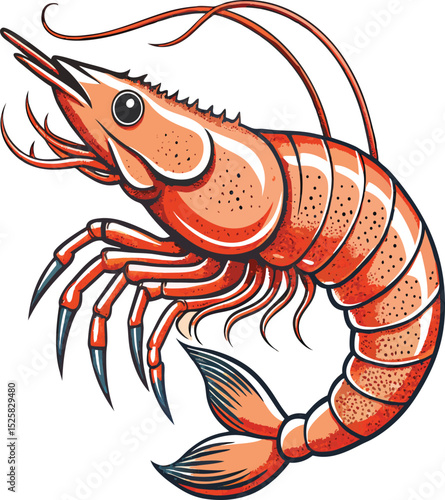 Vibrant illustration of a single cooked shrimp