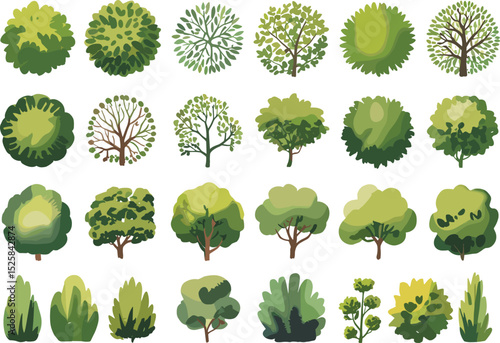 Tree top view collection, green foliage set, landscape elements, bush and shrub illustrations, park design, botanical vector elements, nature clipart