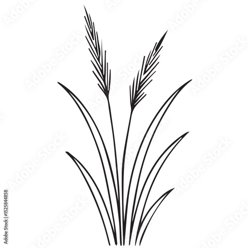 Vector of wild grass in minimalist design, using only black outlines and white space for a clean, modern monochrome look.