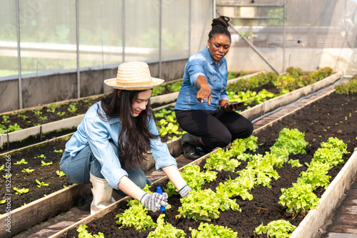 Children learn how to grow and care for vegetables in a greenhouse, with teachers teaching them closely.