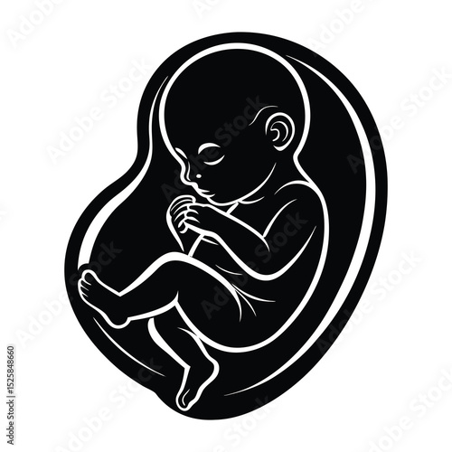 Fetus SVG
