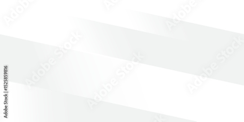 abstract gray white panoramic background There is a natural pattern in the background. vector