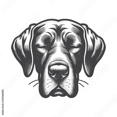 Vintage Hand-Drawn Great Dane Head with Sleepy Eyes Illustration – Calm Dog Engraved Style Vector for T-Shirts, Posters, Stickers, and Relaxation Apparel