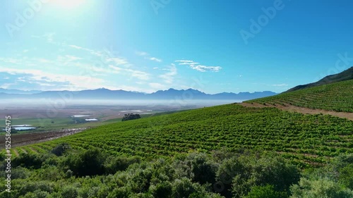 Wallpaper Mural Soaring aerial footage captures the mesmerizing patterns of vineyards and distant peaks Torontodigital.ca