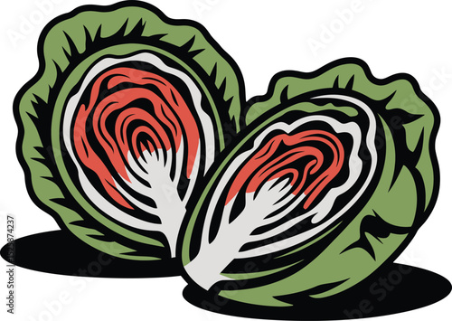 A vibrant illustration of two halved red lettuce, showcasing their inner layers and texture.