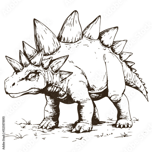 stegosaurus, ancient animal, vector, transparent background, creature, animal, dinosaur, wildlife, nature, icon, safari, isolated, big, large, dino, prehistoric, jurassic, extinct