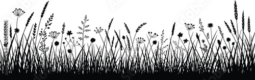 Wild grass and flowers vector silhouette, nature field border, black floral illustration, botanical meadow design, decorative natural landscape element