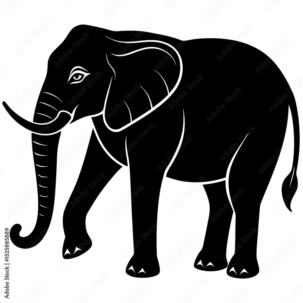 Fototapeta premium elephant isolated on white