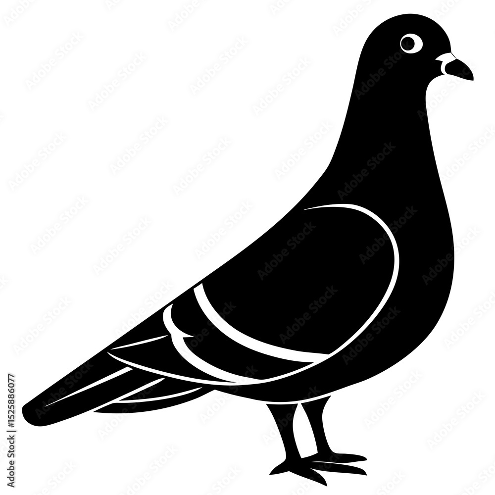 Fototapeta premium vector illustration of a pigeon