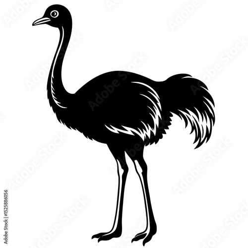 ostrich silhouette isolated on white background