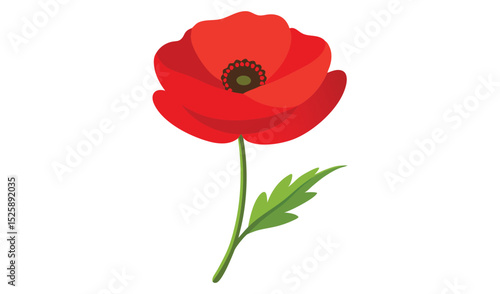 Single red poppy flower with green leaf