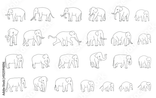 Set of black line drawing elephants in different poses separated excellent drawing. Vector illustration.