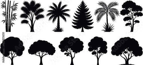 Collection of tropical, palm, bamboo, and forest tree silhouettes, black vector illustration for nature, garden, jungle, design, and landscape