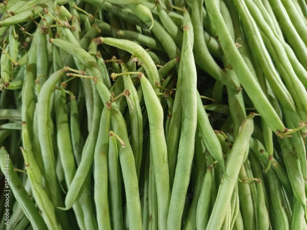 Fototapeta premium pile of fresh green beans