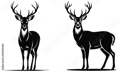 set of deer