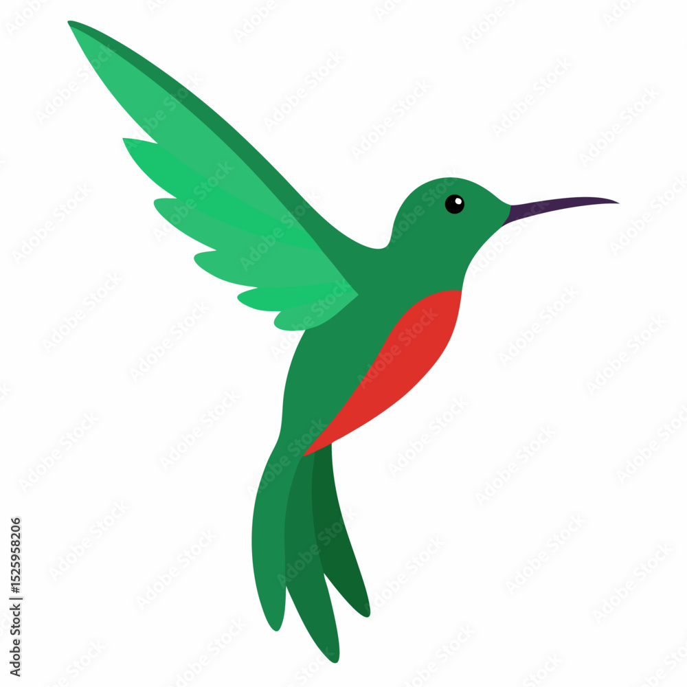 Obraz premium hummingbird on a branch