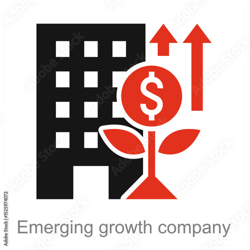Emerging Growth Company