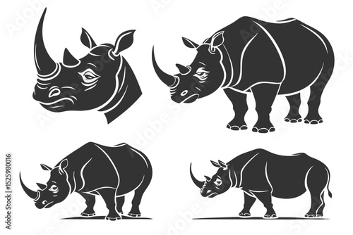 rhino