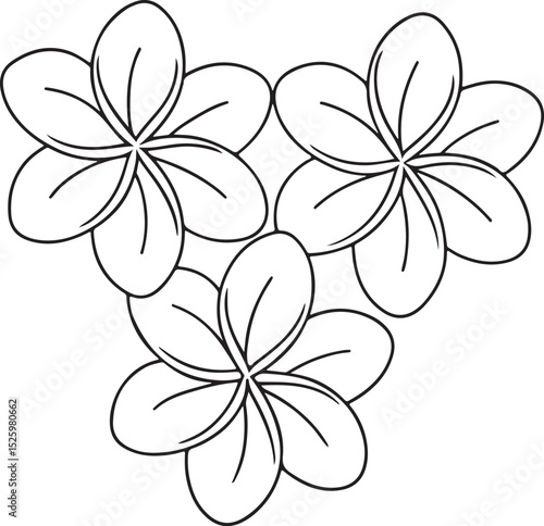 Plumeria Flower Vector Design for Tropical Spa Beauty and Exotic Theme Graphics