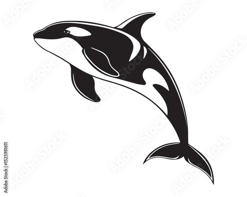 A black and white line drawing of a full orca in profile view isolated on transparent background, PNG

