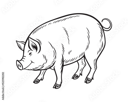 A black and white line drawing of a full pig in profile view isolated on transparent background, PNG

