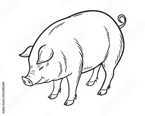 A black and white line drawing of a full pig in profile view isolated on transparent background, PNG

