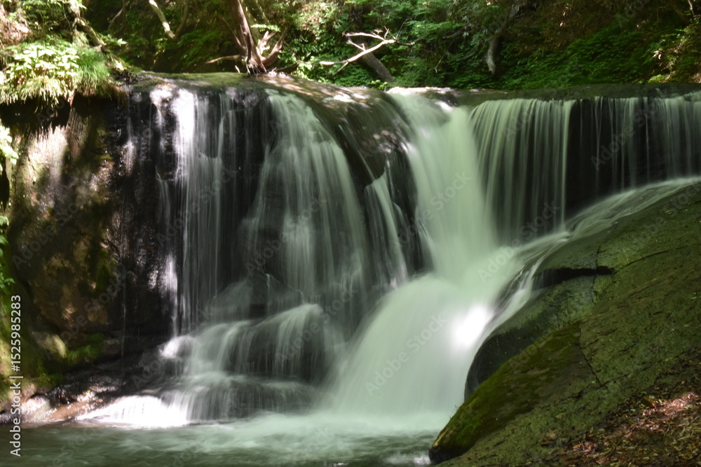 Obraz premium 一休みの滝