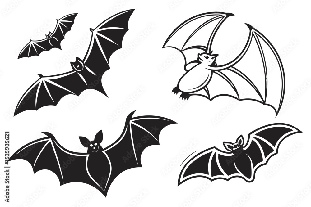 Fototapeta premium bat and bats