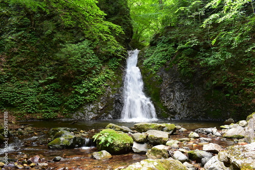 竜化の滝