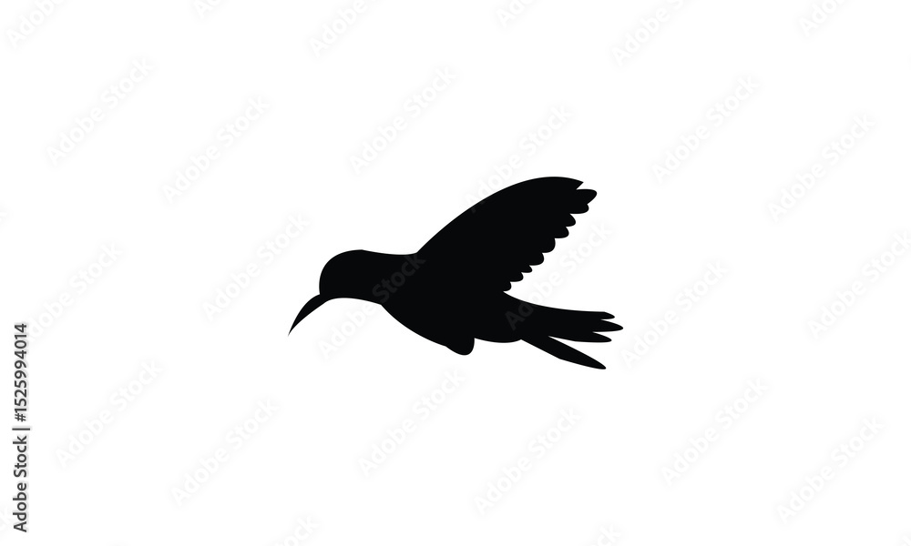 Obraz premium Flying Amazilia hummingbird Silhouette Design And Vector Illustration. 