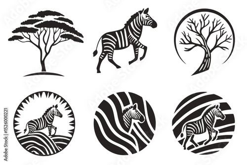 zebra