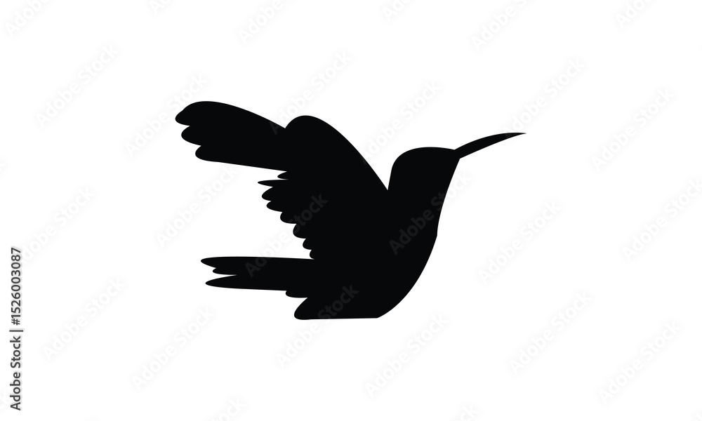 Obraz premium Flying Amazilia hummingbird Silhouette Design And Vector Illustration. 