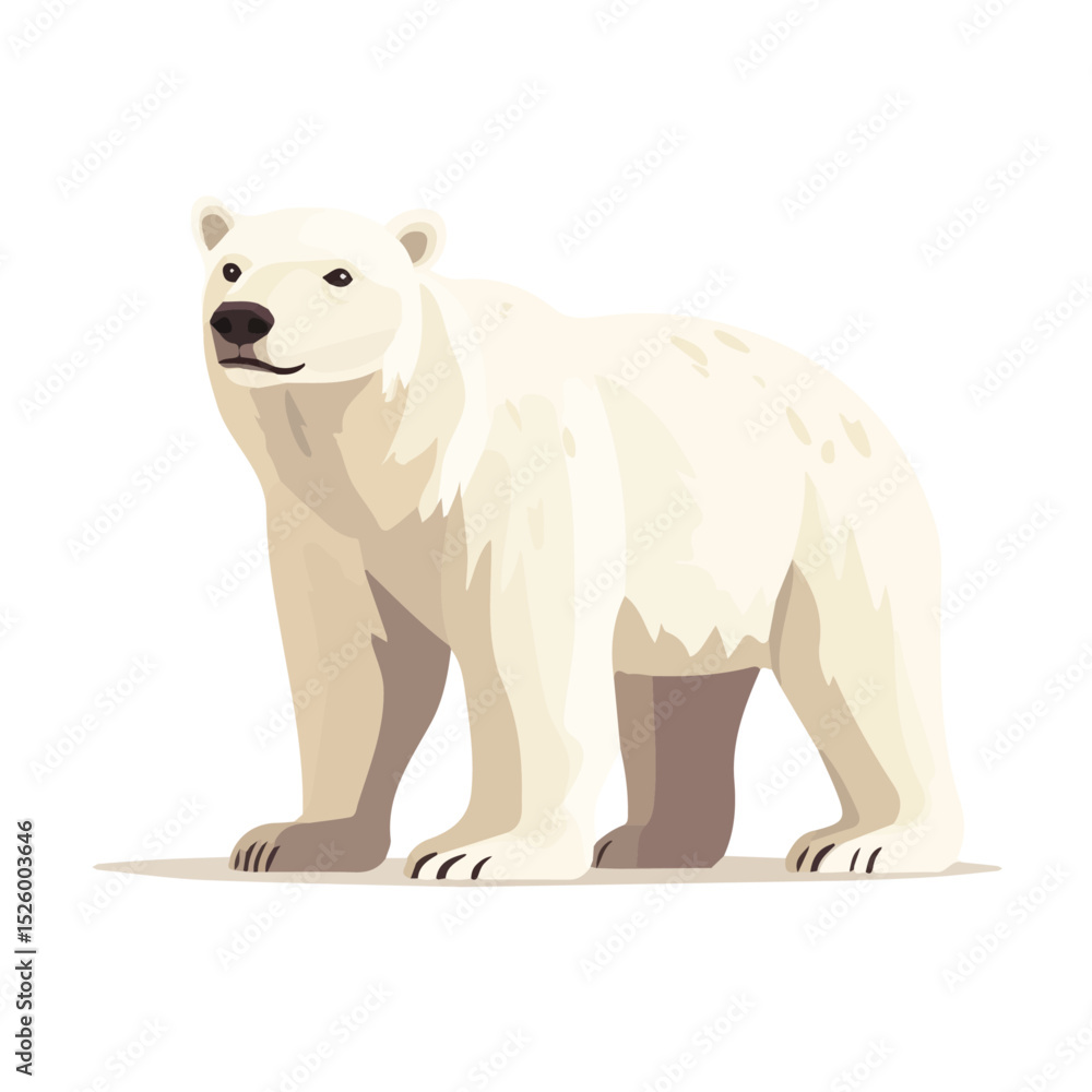 Polar Bear vector 2D flat illustration, isolated on a white background. Polar Bear vector 2D flat illustration, isolated on a white background.